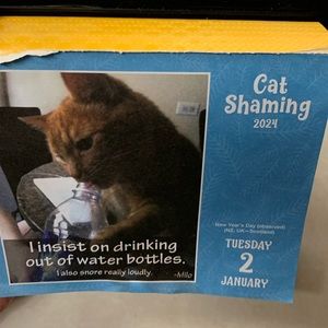 2024 Cat Shaming Calendar with only 1/1/24 removed